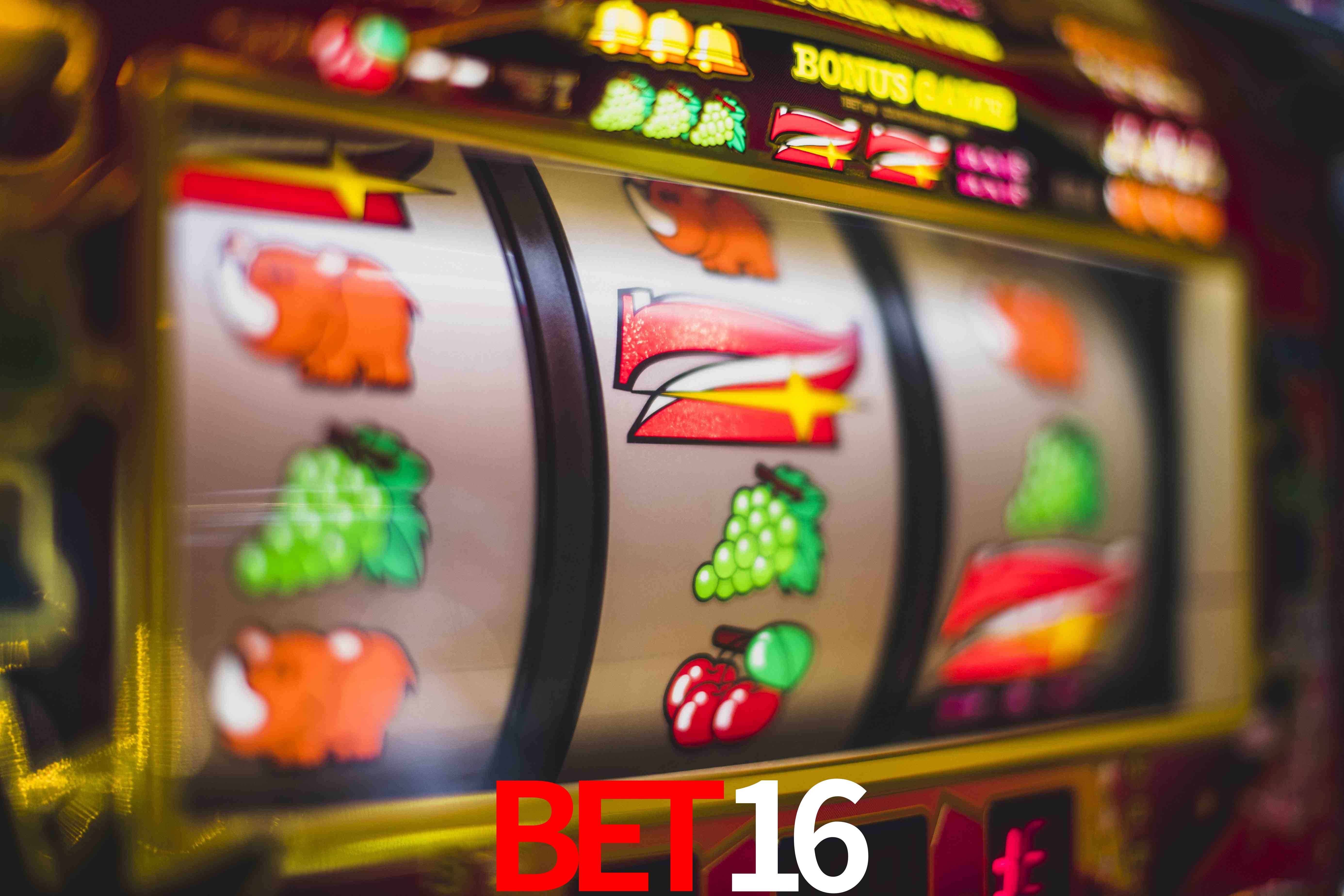 Experiência VIP BET16
